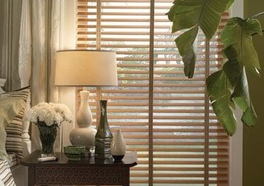 contemporary window blinds